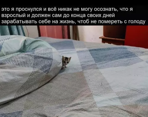 Смешная картинка №783599