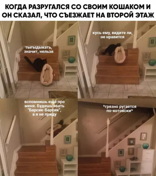 Смешная картинка №456277 Бедный котейка ?