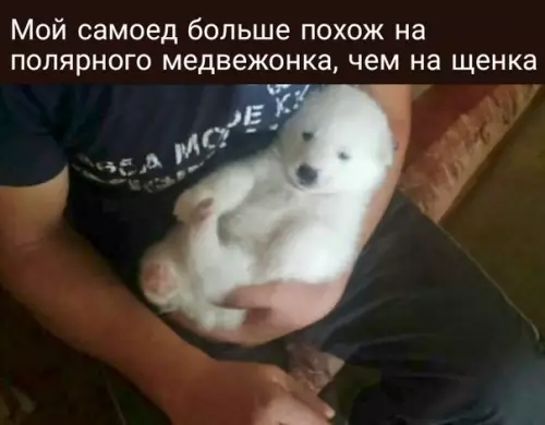Смешная картинка №273334