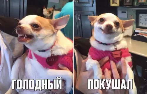 Смешная картинка №350236 Я, кoгдa: