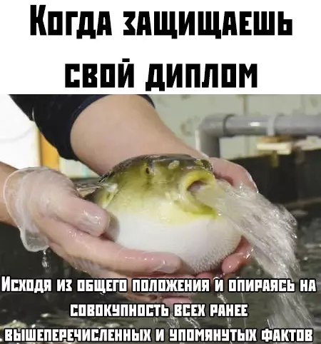 Смешная картинка №389096