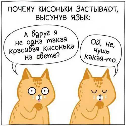 Смешная картинка №742961 кошки