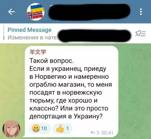 План по захвату Норвегии 🇳🇴😂 - Такой вопрос. Если я украинец, приеду в Норвегию и намеренно