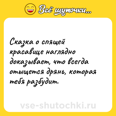 Шутка: Сказка о спящей красавице наглядно доказывает, что всегда отыщется дрянь, которая тебя разбудит.