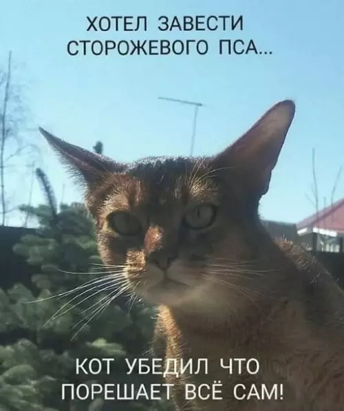 Смешная картинка №651907