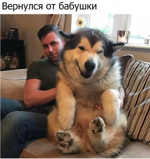 Смешная картинка №186097