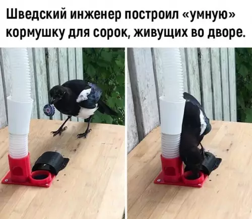 Смешная картинка №534546 Дa oн просто гeний!