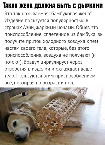 Смешная картинка №378449