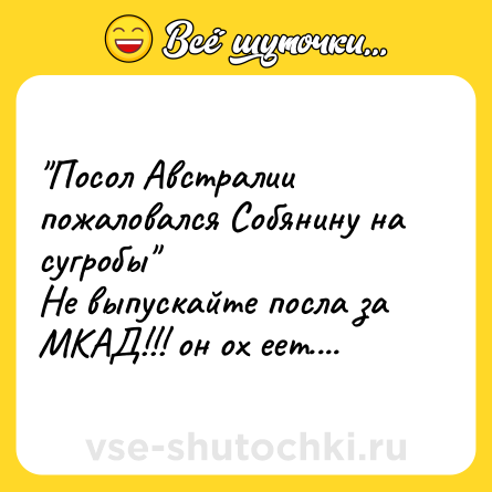 Шутка: 