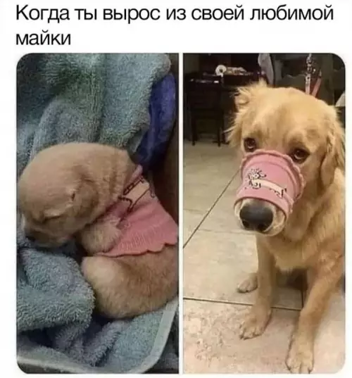 Смешная картинка №657953