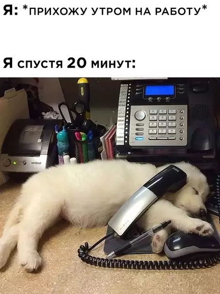 Смешная картинка №605414 Работа