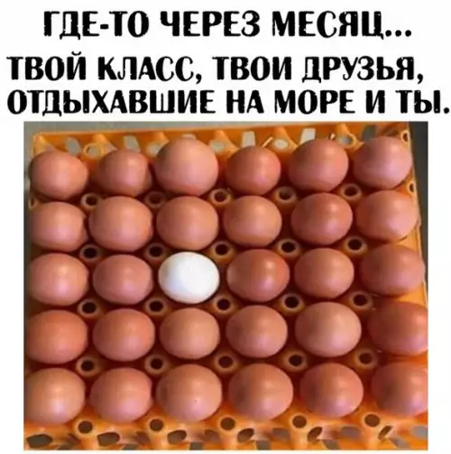 Смешная картинка №199411