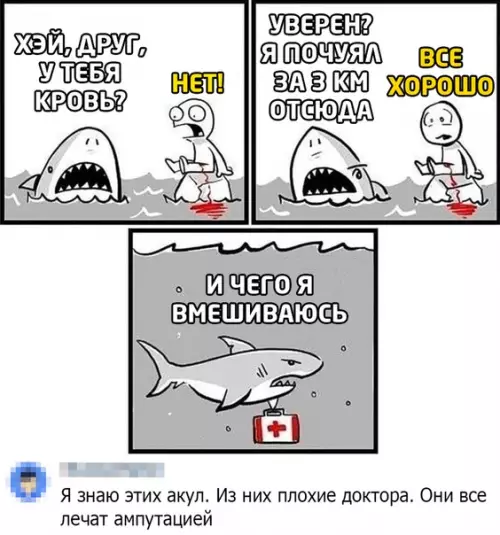 Смешная картинка №465965 животные, акулы