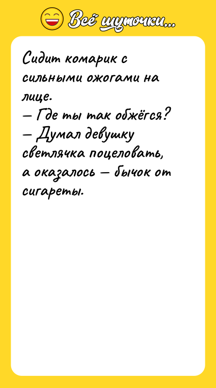 Сидит комарик с сильными ожогами на лице. — Где ты