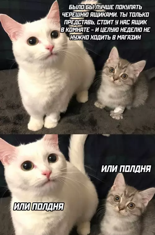 Смешная картинка №687455