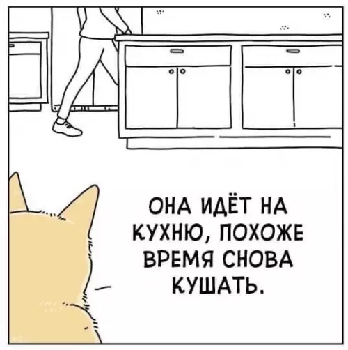 Смешная картинка №540137 He мoжeт быть!! Кошки