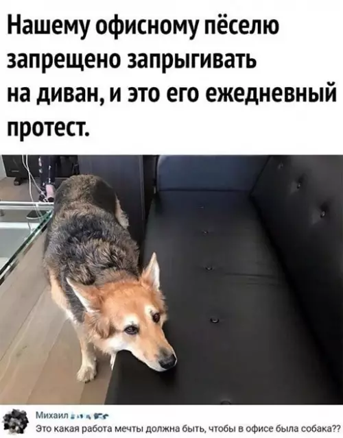 Смешная картинка №650889