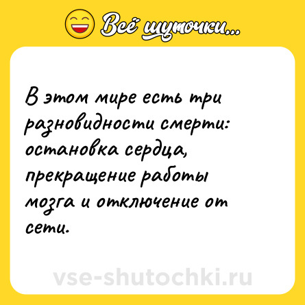 Шутка: В этом мире есть три разновидности смерти: остановка сердца, прекращение работы мозга и отключение от сети.