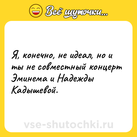 Шутка: Я, конечно, не идеал, но и ты не совместный концерт Эминема и Надежды Кадышевой.