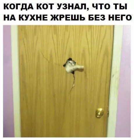 Смешная картинка №208545