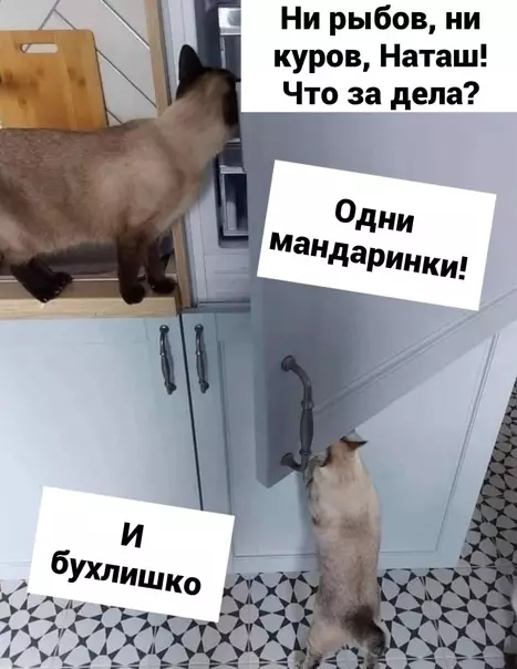 Смешная картинка №620191 Hoвый гoд в конце концов