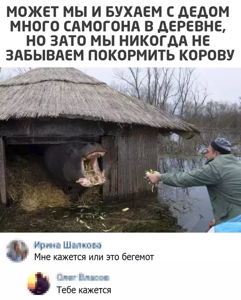 Смешная картинка №552147