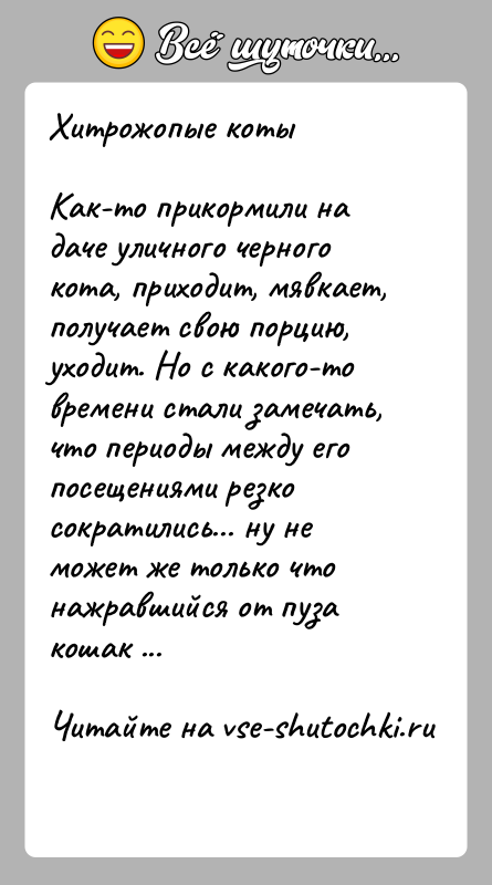 История: Хитрожопые котыКак-то прикормили на даче уличного черного кота, приходит, мявкает, получает свою порцию, уходит. Но с какого-то времени стали замечать,