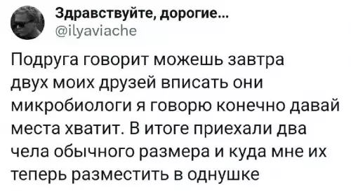 Смешная картинка №725311