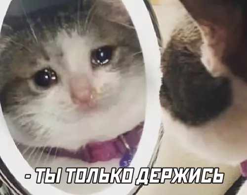 продолжение Смешная картинка №616477