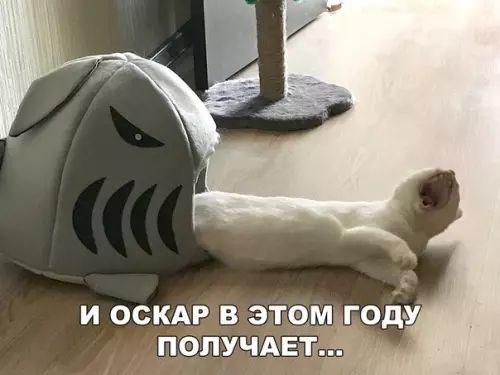 Смешная картинка №287191