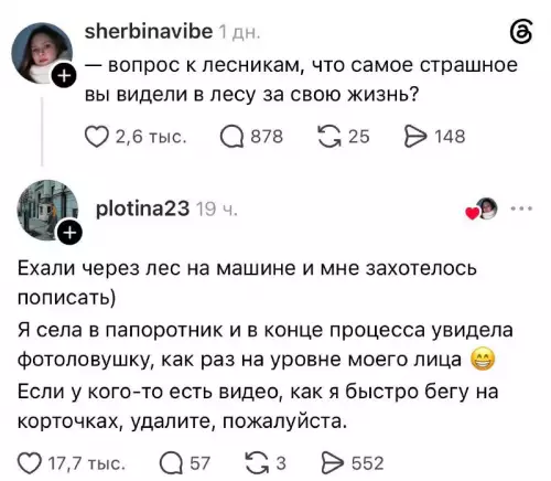 Лес подарил сюрприз 🌿😂 - вопрос к лесникам, что самое страшное вы видели в лесу