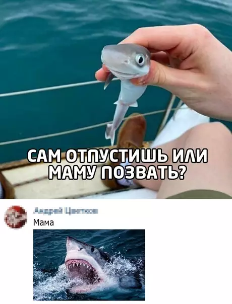 Смешная картинка №535522