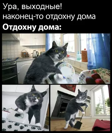Смешная картинка №759272