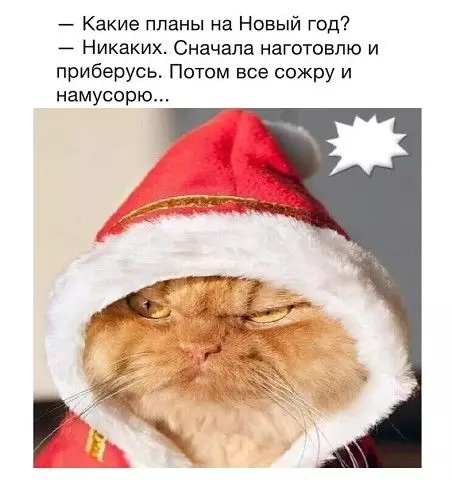 Смешная картинка №435268 ? ? ? ? ? ? ?