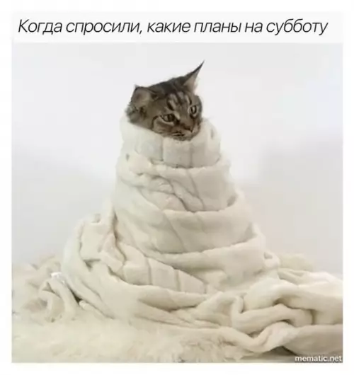 Смешная картинка №250286 работа