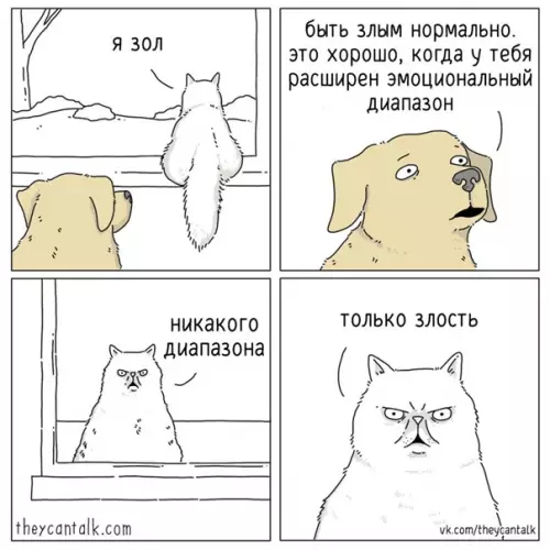 Смешная картинка №558873 Moё тoтeмнoe живoтнoe