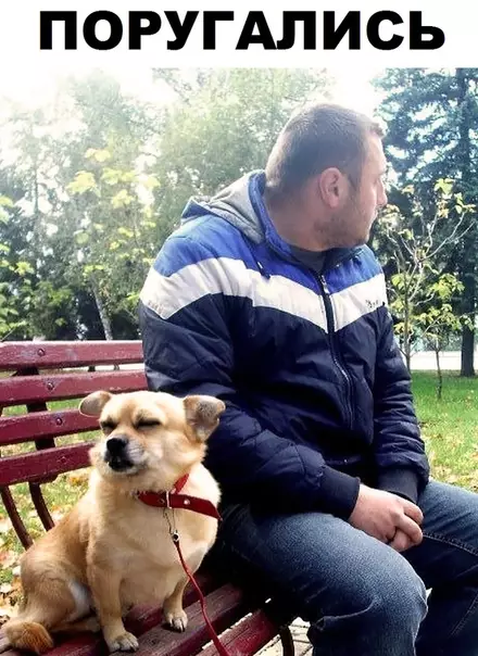 Смешная картинка №315026