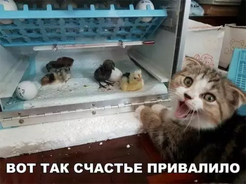 Смешная картинка №254396