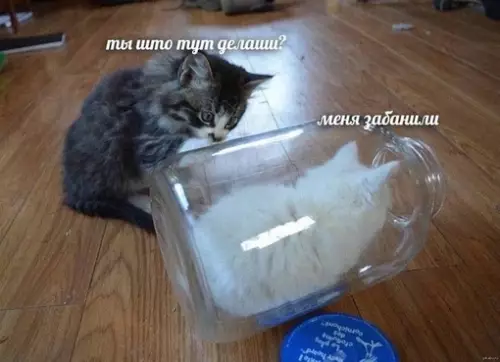 Смешная картинка №713773