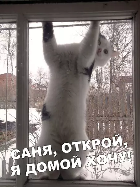Смешная картинка №406743