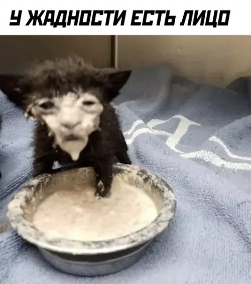 Смешная картинка №494660