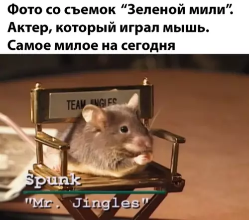 Смешная картинка №480468