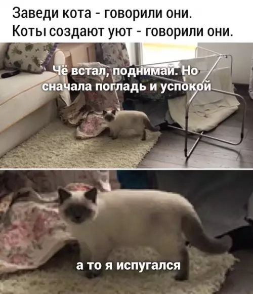 Смешная картинка №490361