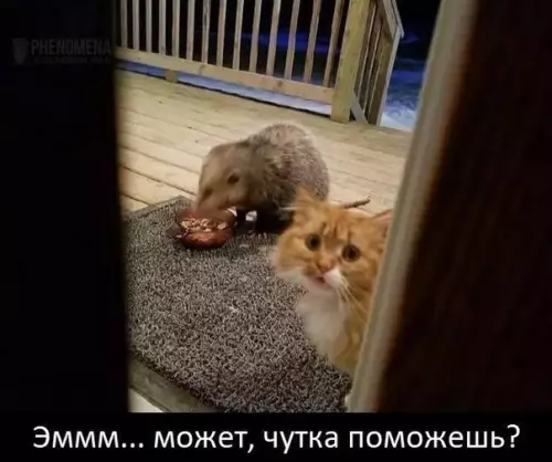 Смешная картинка №426145 Хотя бы вы поддержите его