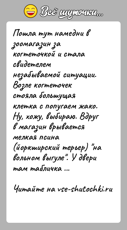 История: Пошла тут намедни в зоомагазин за когтеточкой и стала свидетелем незабываемой ситуации. Возле когтеточек стояла большущая клетка с попугаем жако.Ну,