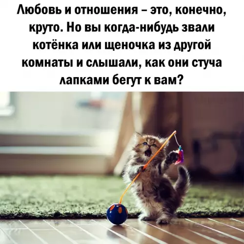Смешная картинка №666018
