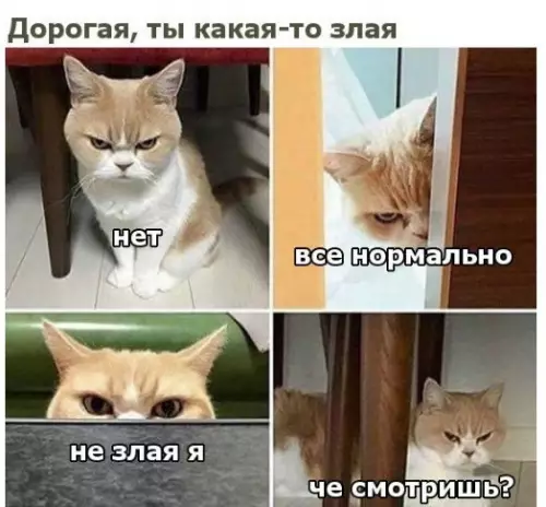 Смешная картинка №280096