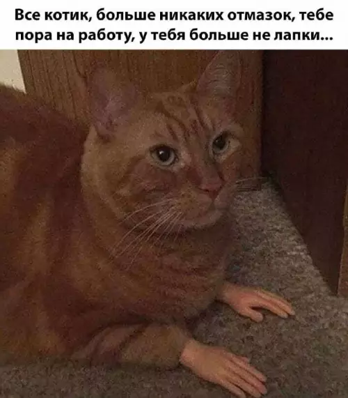Смешная картинка №690791