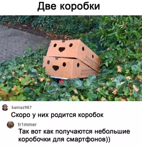 Смешная картинка №511399 как это развидеть теперь?