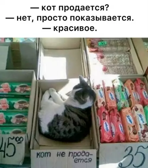Смешная картинка №594973